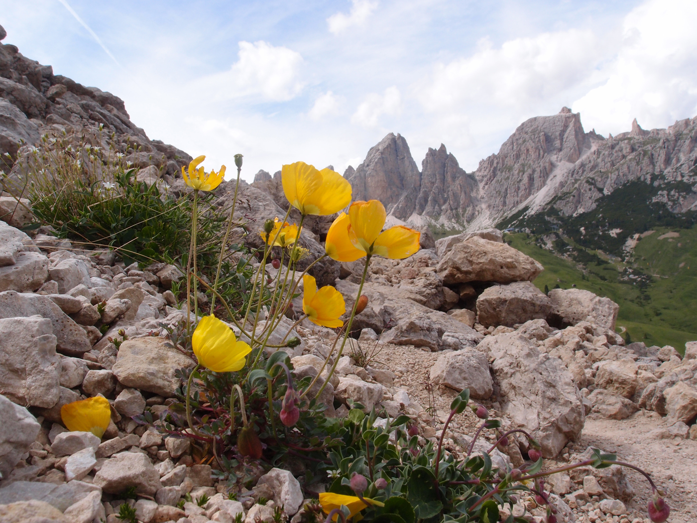  Rocky World